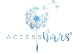 Access Bars csere